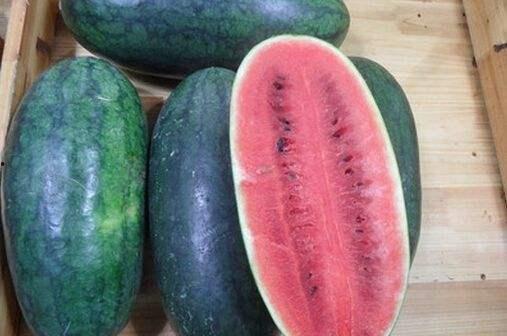 山东网红团队吃瓜,揭秘幕后美食风云